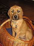 Gerda 22.07.2012