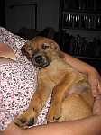 Gerda 22.07.2012