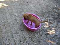 Gerda 23.07.2012