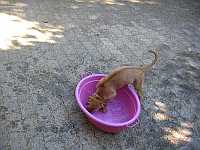 Gerda 23.07.2012