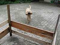 Gerda 25.06.2013