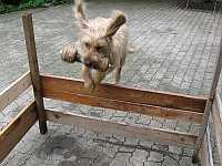 Gerda 25.06.2013