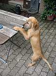 Gerda 25.08.2012