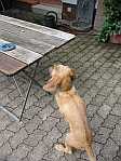 Gerda 25.08.2012
