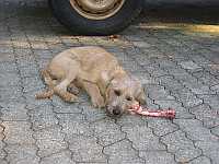 Gerda 26.09.2012