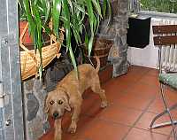 Gerda 19.09.2012