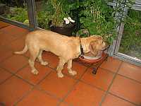 Gerda 19.09.2012