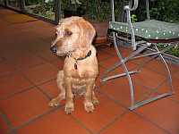 Gerda 19.09.2012