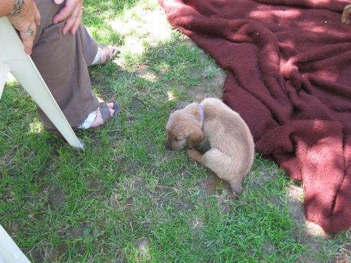 Gerda 16.06.2012