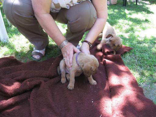Gerda 16.06.2012