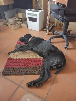 Jessy