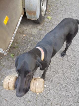 Jessy
