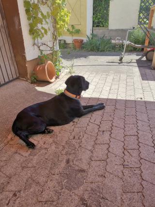 Jessy