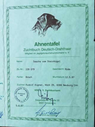 Sascha
