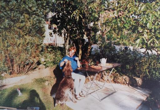 Album 1993 - 1995