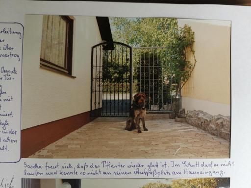Album 1993 - 1995
