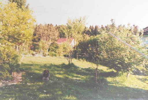 Album 1993 - 1995