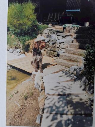 Album 1993 - 1995