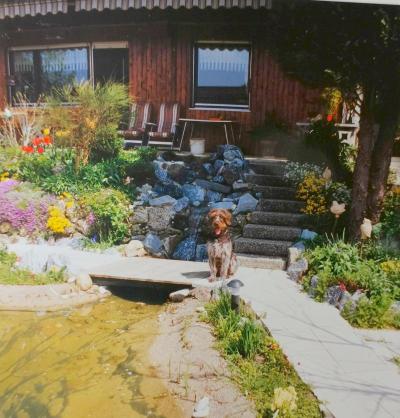 Album 1993 - 1995