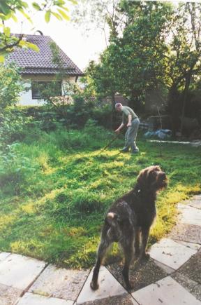 Album 1993 - 1995
