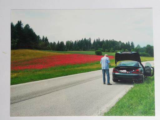 Mohn