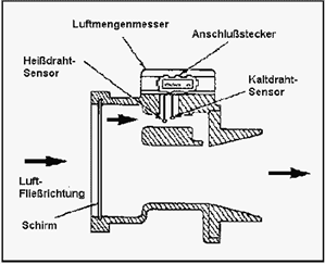 Schnitt LMM