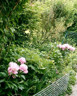 2003