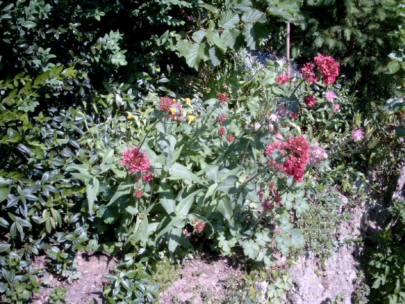 2003