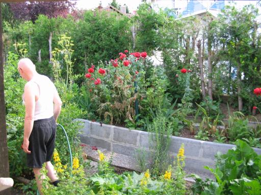 garten 2005