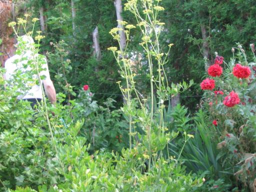 garten 2005