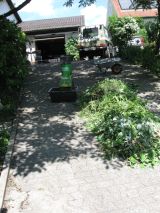 Garten Juni 2017