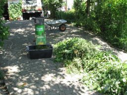 Garten Juni 2017