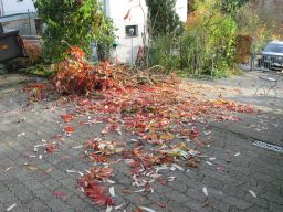 Garten Oktober 2017