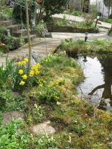 Garten April 2018 IMG_4516.jpg