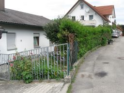 Hecke schneiden 10. Juli 2018 IMG_4782.jpg