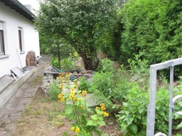 Garten 25.Juni 2018 IMG_4744.jpg