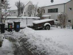 Garten Januar 2019