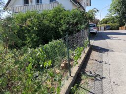 Garten 19. Juni 2019