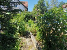 Garten 24. Juni 2019