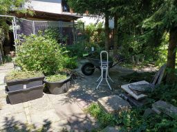 Garten 30. Juni 2019