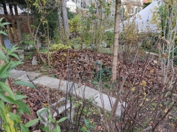 Garten 20. Oktober 2019