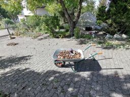 Garten 12. Oktober 2019