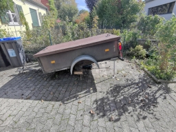 Garten 12. Oktober 2019