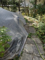 Garten 19.September 2019