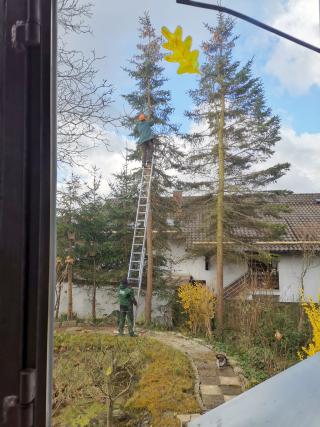 28.03.2023