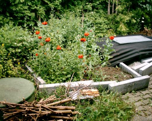 März 2006