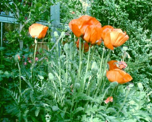 März 2006