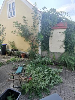Juli 2024