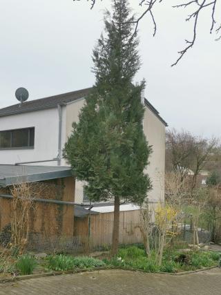 März 2025