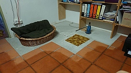 DSC_3987-a.jpg